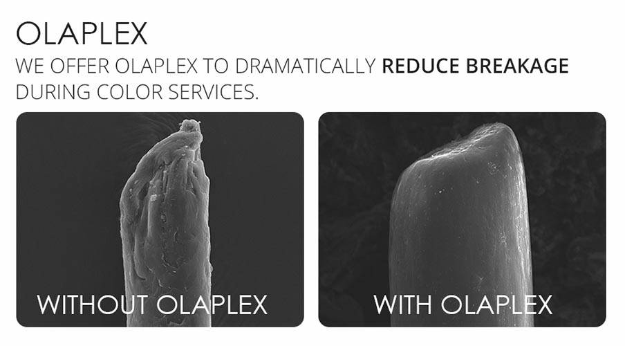 olaplex breakage