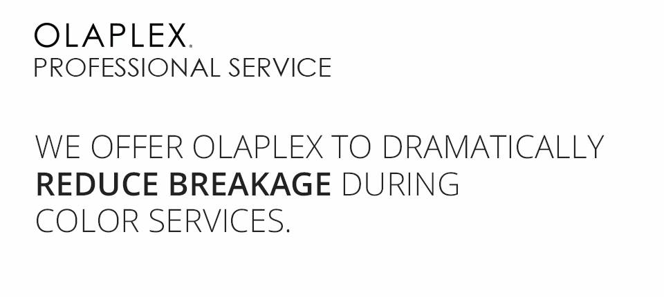 opalex description 2